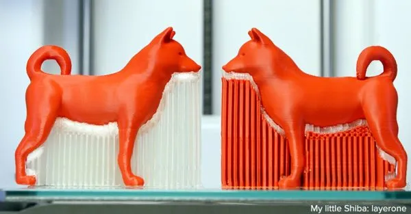support shiba