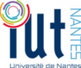 Logo iut de Nantes
